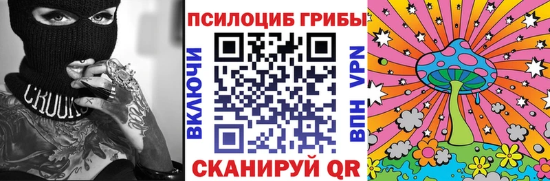 продажа наркотиков  OMG онион  Псилоцибиновые грибы Cubensis  Снежинск 